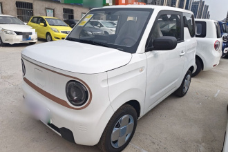 吉利银河 2024款 熊猫mini 200km 耐力熊