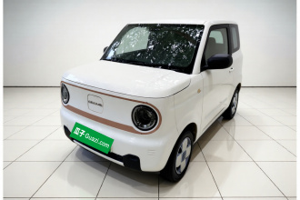 吉利银河 2024款 熊猫mini 200km 耐力熊