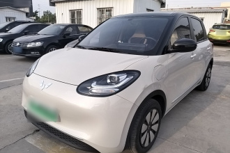 五菱汽车 五菱缤果 2023款 333km 快享款
