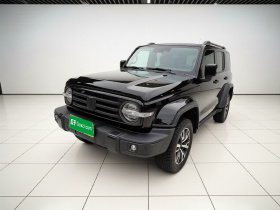 坦克300 2021款 城市版 2.0T 很有型