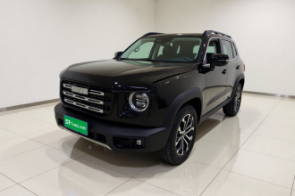 哈弗大狗 2021款 1.5T DCT两驱边牧版