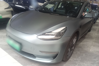 特斯拉 Model 3 2022款 Performance高性能全轮驱动版