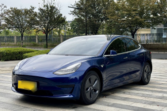特斯拉 Model 3 2020款 改款 标准续航后驱升级版