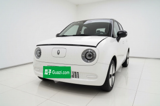 欧拉黑猫 2022款 301km 基础型 三元锂
