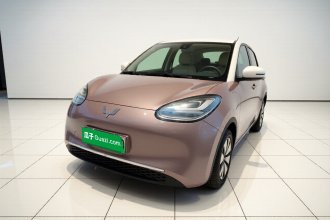 五菱汽车 五菱缤果 2023款 333km 悦享款