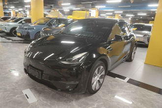 特斯拉 Model Y 2021款 标准续航后驱版