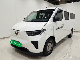 五菱汽车 五菱扬光 2024款 300km 舒适型客车版 75kW