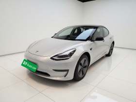 特斯拉 Model 3(进口) 2019款 长续航全轮驱动版