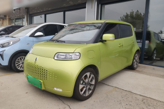 欧拉白猫 2020款 305km 豪华型