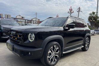 哈弗大狗 2021款 1.5T DCT两驱马犬版