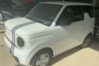 吉利银河 2023款 熊猫mini 120km 超萌熊
