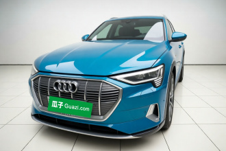 奥迪e-tron(进口) 2019款 55 quattro 全球限量版Edition 1