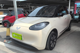 五菱汽车 五菱缤果 2025款 333km 灵犀尊享款