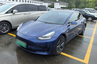 特斯拉 Model 3 2020款 改款 标准续航后驱升级版