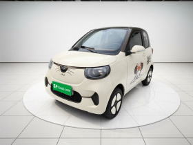 小虎EV 2021款 FOR-Two小乖虎 三元锂