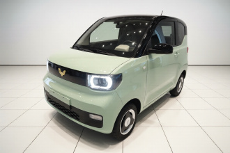 五菱汽车 宏光MINIEV 2021款 马卡龙时尚款 磷酸铁锂