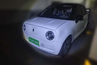 欧拉黑猫 2021款 301km 基础型