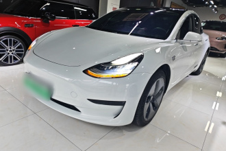 特斯拉 Model 3 2019款 标准续航后驱升级版