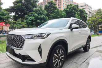 哈弗H6 2024款 1.5T 两驱经典版
