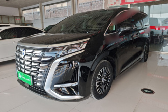 腾势D9 2024款 DM-i 980 四驱尊贵型