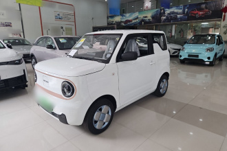 吉利银河 2024款 熊猫mini 200km 耐力熊