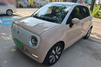 欧拉黑猫 2021款 351km 豪华型