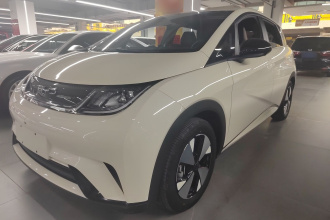 比亚迪 海豚 2023款 420km 自由版