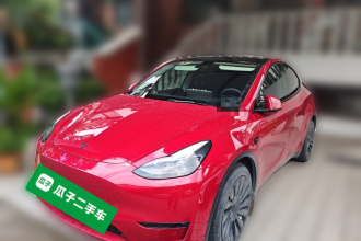 特斯拉 Model Y 2021款 标准续航后驱版