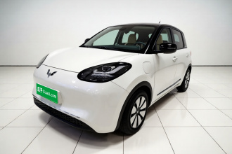 五菱汽车 五菱缤果 2023款 333km 悦享款