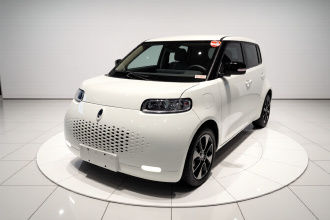 欧拉白猫 2020款 305km 豪华型