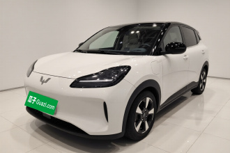 五菱汽车 五菱缤果PLUS 2024款 510km 五座版