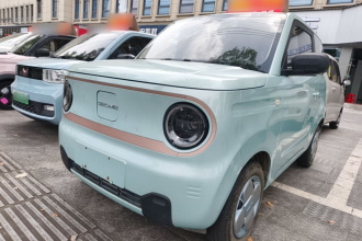 吉利银河 2024款 熊猫mini 200km 耐力熊