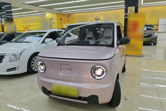 吉利银河 2023款 熊猫mini 200km 耐力熊