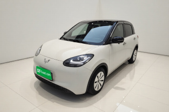五菱汽车 五菱缤果 2023款 203km 轻享款