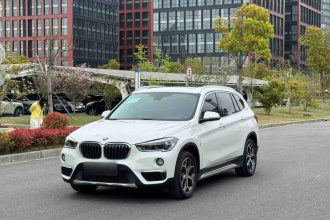 宝马X1新能源 2019款 xDrive25Le 豪华型