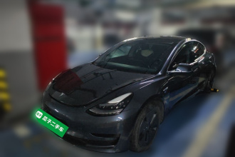 特斯拉 Model 3(进口) 2019款 标准续航后驱升级版