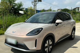 五菱汽车 缤果S 2025款 325km 尊享款