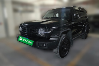 坦克300 2024款 2.0T 穿越者