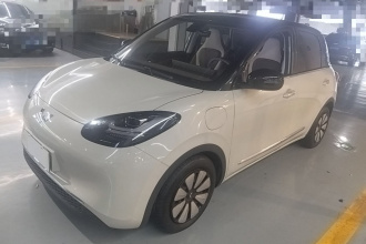 五菱汽车 五菱缤果 2023款 333km 灵犀互联+款