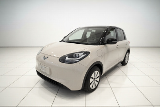 五菱汽车 五菱缤果 2025款 203km 轻享款