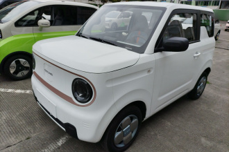 吉利银河 2023款 熊猫mini 200km 耐力熊