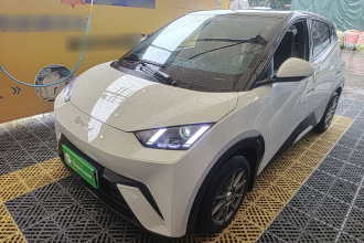 比亚迪 海鸥 2024款 荣耀版 305km 活力版