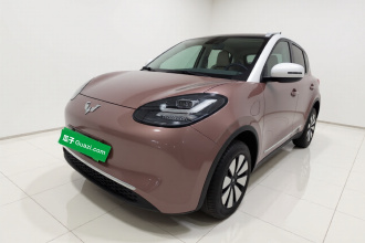 五菱汽车 五菱缤果 2023款 333km 灵犀互联+款