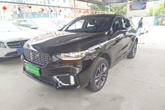 魏牌 VV5 2021款 1.5T 两驱颜先锋