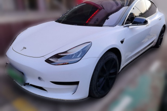 特斯拉 Model 3 2020款 标准续航后驱升级版