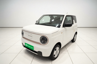 吉利银河 2023款 熊猫mini 200km 耐力熊