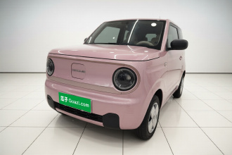 吉利银河 2024款 熊猫mini 200km 耐力熊