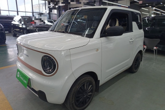 吉利银河 2024款 熊猫mini 200km 耐力熊