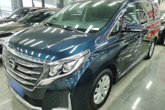 广汽传祺 传祺M8 2020款 领航款 390T 尊享版