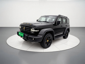 坦克300 2021款 越野版 2.0T 征服者